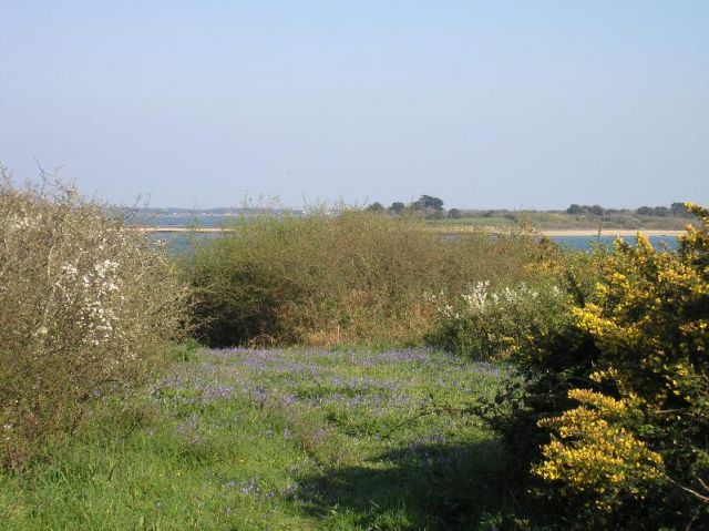 photo 175.jpg